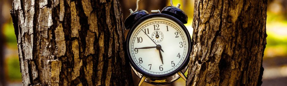 Cách cung cấp dịch vụ hỗ trợ khách hàng thực tế tốt nhất năm 2025