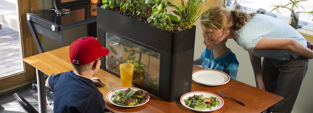 AquaSprouts sustainability