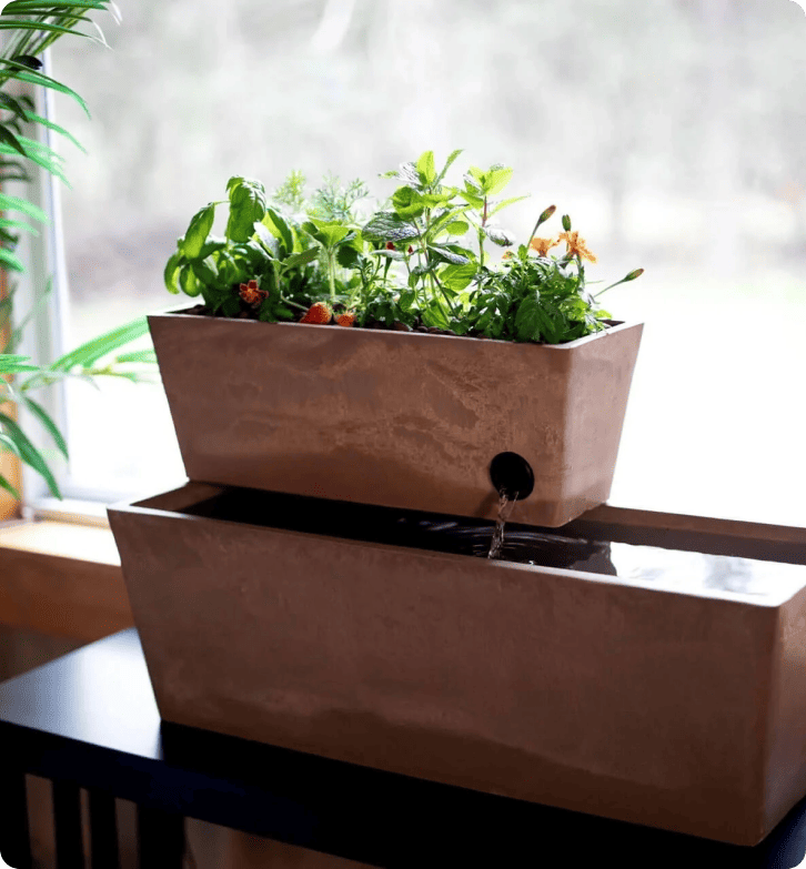 Cách AquaSprouts đạt tỷ lệ hài lòng khách hàng 96,5% với LiveAgent