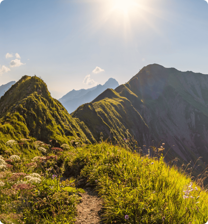 Cách ZlavaDna cải thiện hỗ trợ khách hàng với LiveAgent