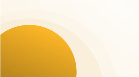 Mẫu Email Yêu Cầu Phản Hồi